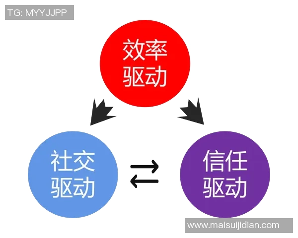 武汉排球队灵活性分析与战术调整的深度探讨