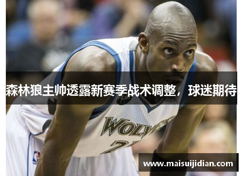 森林狼主帅透露新赛季战术调整，球迷期待