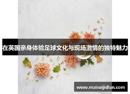 在英国亲身体验足球文化与现场激情的独特魅力