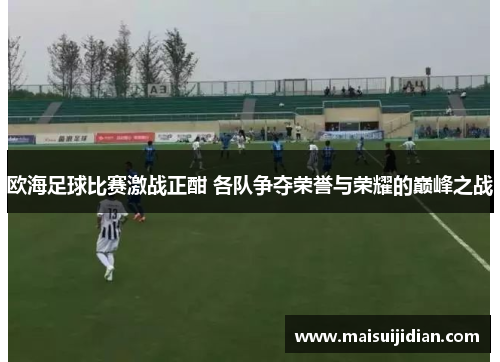 欧海足球比赛激战正酣 各队争夺荣誉与荣耀的巅峰之战