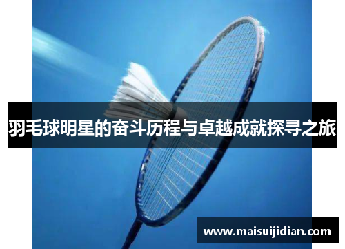 羽毛球明星的奋斗历程与卓越成就探寻之旅