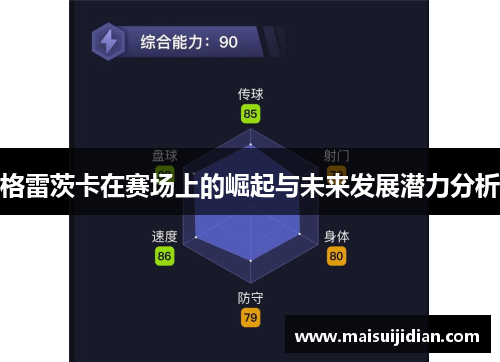 格雷茨卡在赛场上的崛起与未来发展潜力分析